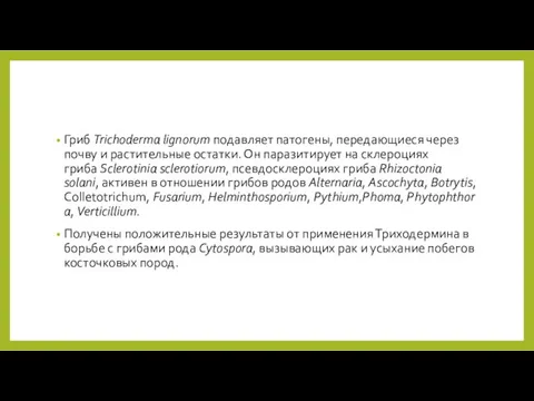 Гриб Trichoderma lignorum подавляет патогены, передающиеся через почву и растительные