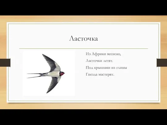 Ласточка Из Африки весною, Ласточки летят. Под крышами из глины Гнезда мастерят.