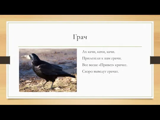 Грач Ах качи, качи, качи. Прилетели к нам грачи. Все весне «Привет» кричат. Скоро выведут грачат.