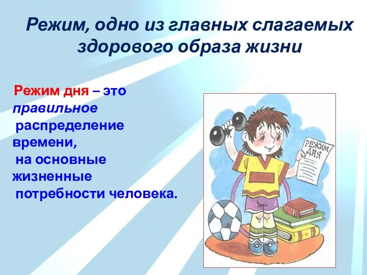 Режим, одно из главных слагаемых здорового образа жизни Режим дня