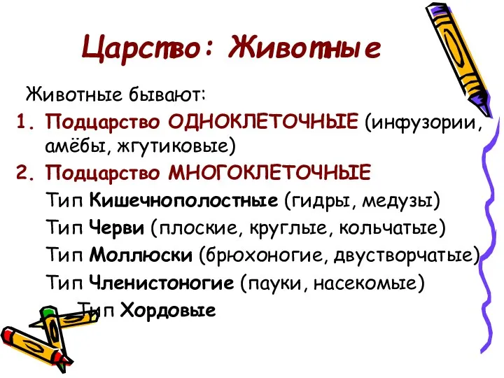 Царство: Животные Животные бывают: Подцарство ОДНОКЛЕТОЧНЫЕ (инфузории, амёбы, жгутиковые) Подцарство