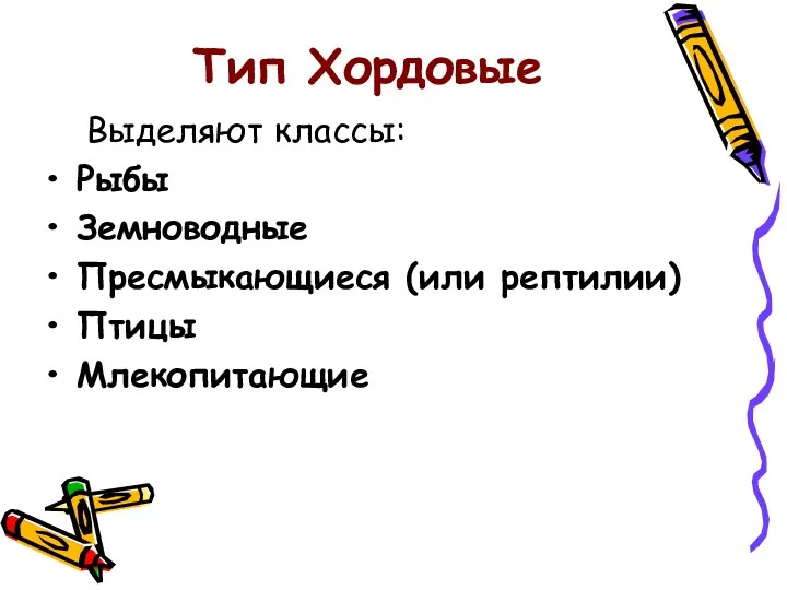 Тип Хордовые Выделяют классы: Рыбы Земноводные Пресмыкающиеся (или рептилии) Птицы Млекопитающие