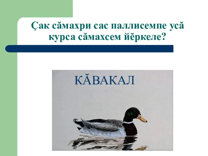 Çак сăмахри сас паллисемпе усă курса сăмахсем йĕркеле? КĂВАКАЛ