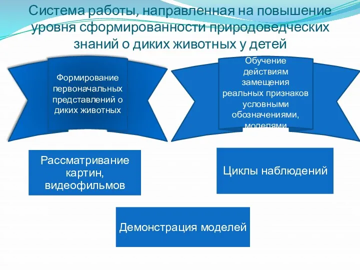 Формирование первоначальных представлений о диких животных Обучение действиям замещения реальных