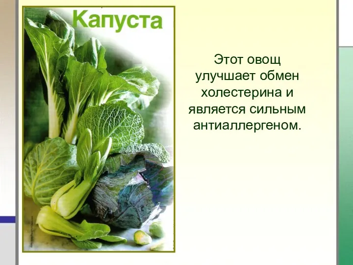 Этот овощ улучшает обмен холестерина и является сильным антиаллергеном.