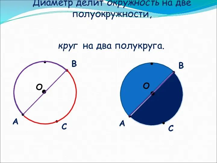 Диаметр делит окружность на две полуокружности, О С А В