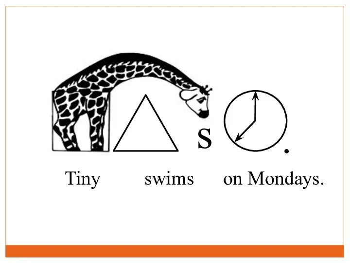 Tiny swims on Mondays.