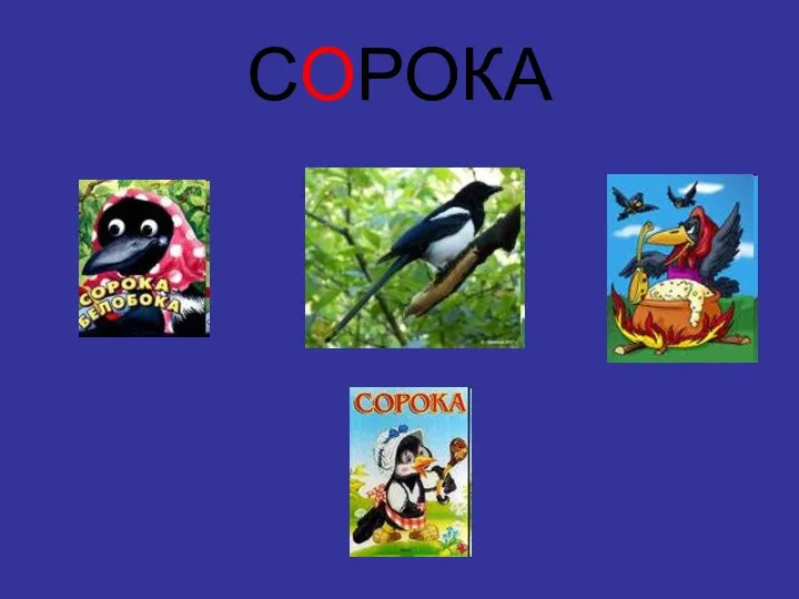 СОРОКА