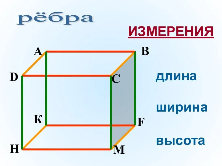 рёбра длина ширина высота ИЗМЕРЕНИЯ