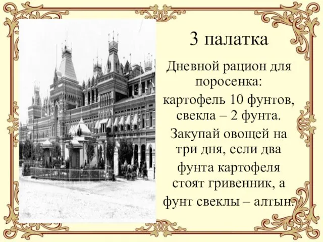 3 палатка Дневной рацион для поросенка: картофель 10 фунтов, свекла – 2 фунта.