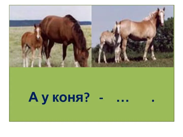 А у коня? - … .