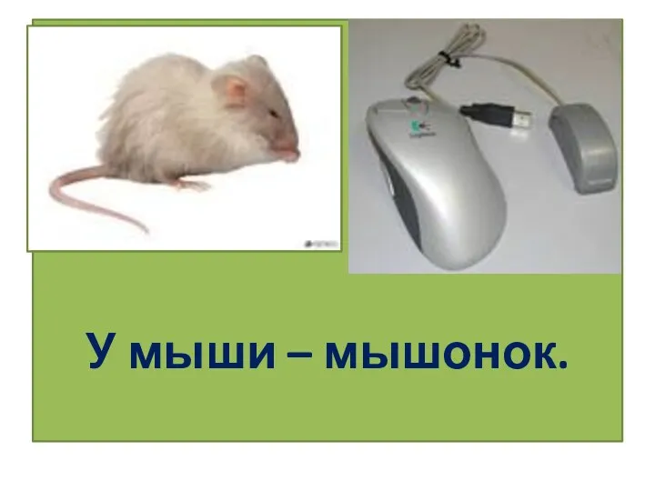 У мыши – мышонок.