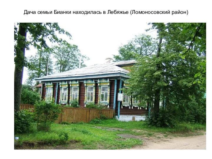 Дача семьи Бианки находилась в Лебяжье (Ломоносовский район)