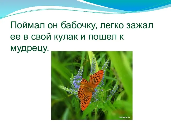 Поймал он бабочку, легко зажал ее в свой кулак и пошел к мудрецу.