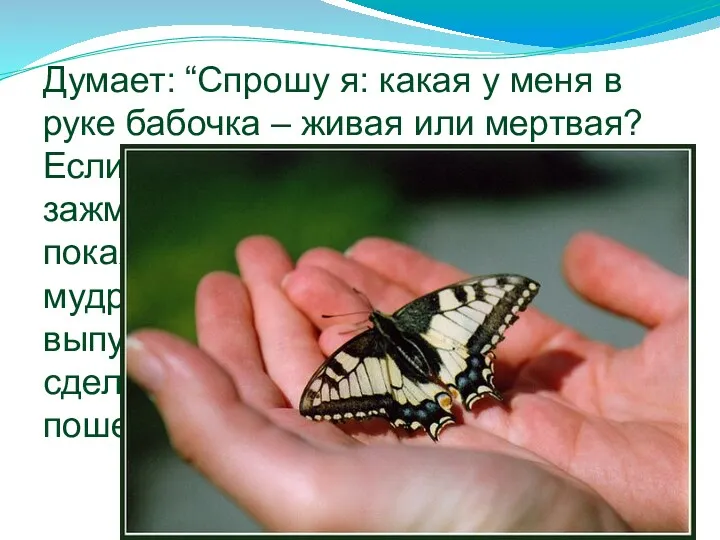Думает: “Спрошу я: какая у меня в руке бабочка – живая или мертвая?