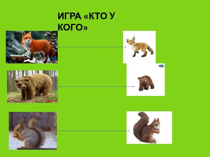 ИГРА «КТО У КОГО»