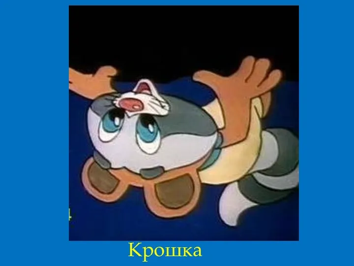 Крошка Енот