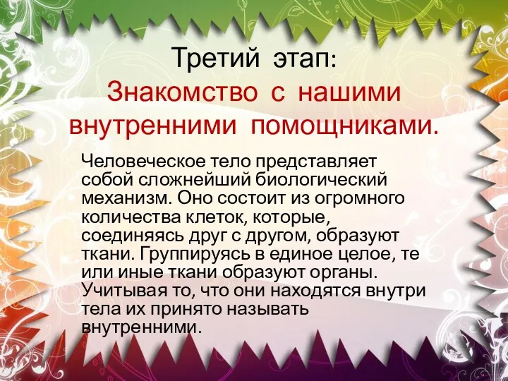 Третий этап: Знакомство с нашими внутренними помощниками. Человеческое тело представляет собой сложнейший биологический