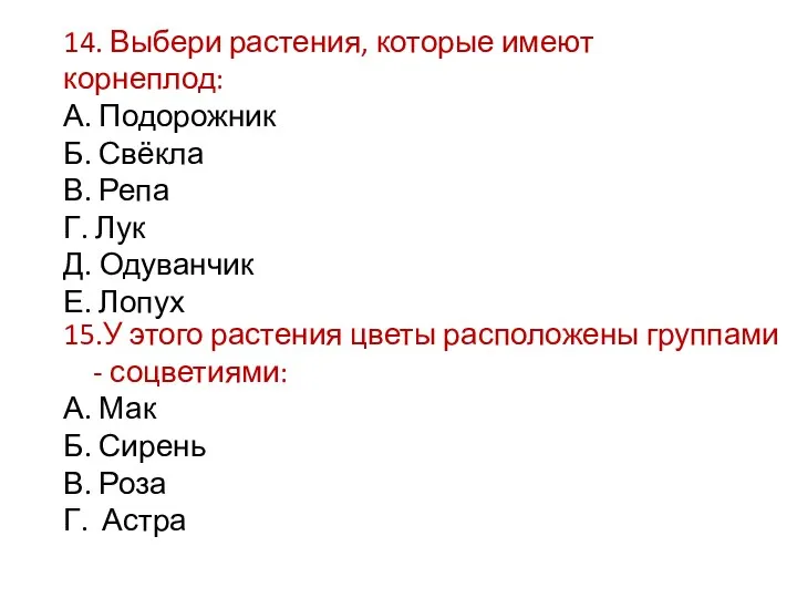 14. Выбери растения, которые имеют корнеплод: А. Подорожник Б. Свёкла В. Репа Г.