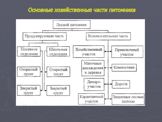 Основные хозяйственные части питомника