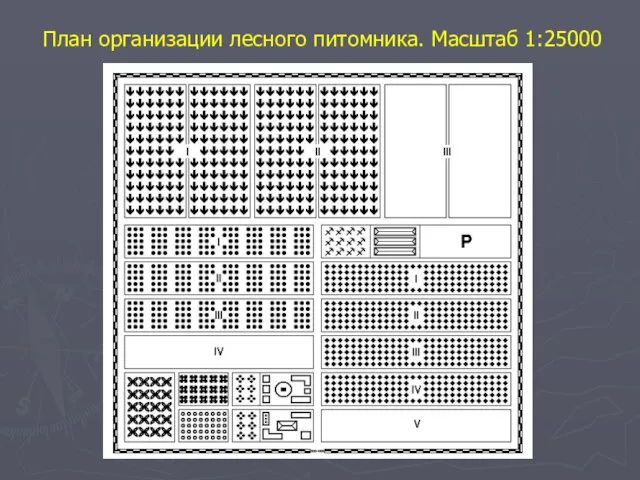 План организации лесного питомника. Масштаб 1:25000