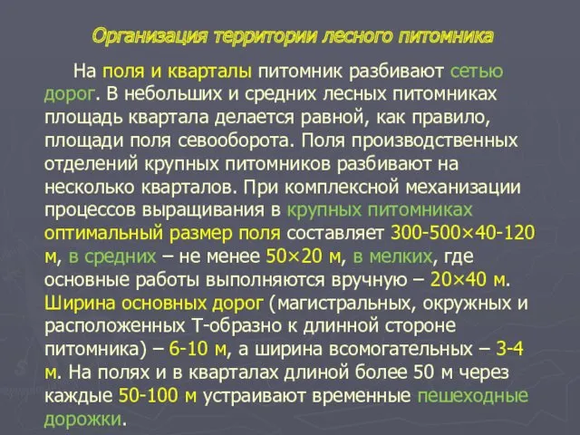 На поля и кварталы питомник разбивают сетью дорог. В небольших и средних лесных