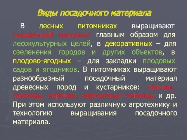 В лесных питомниках выращивают посадочный материал главным образом для лесокультурных