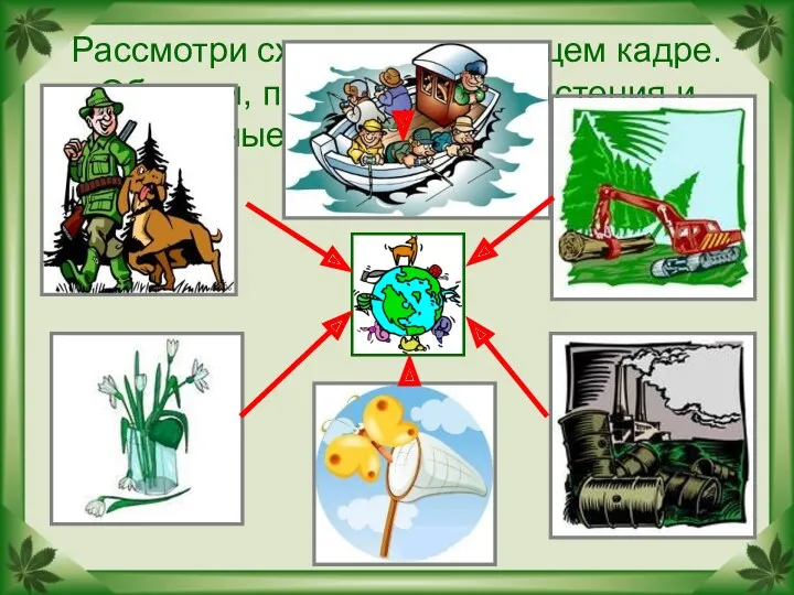 Рассмотри схему на следующем кадре. Объясни, почему многие растения и животные встречаются всё реже.