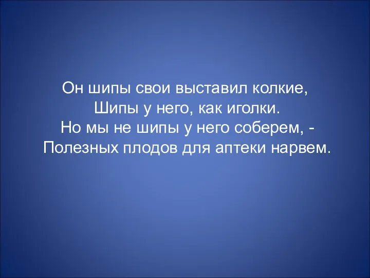 Он шипы свои выставил колкие, Шипы у него, как иголки.