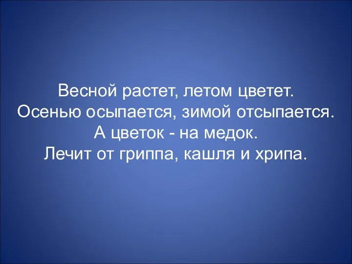 Весной растет, летом цветет. Осенью осыпается, зимой отсыпается. А цветок