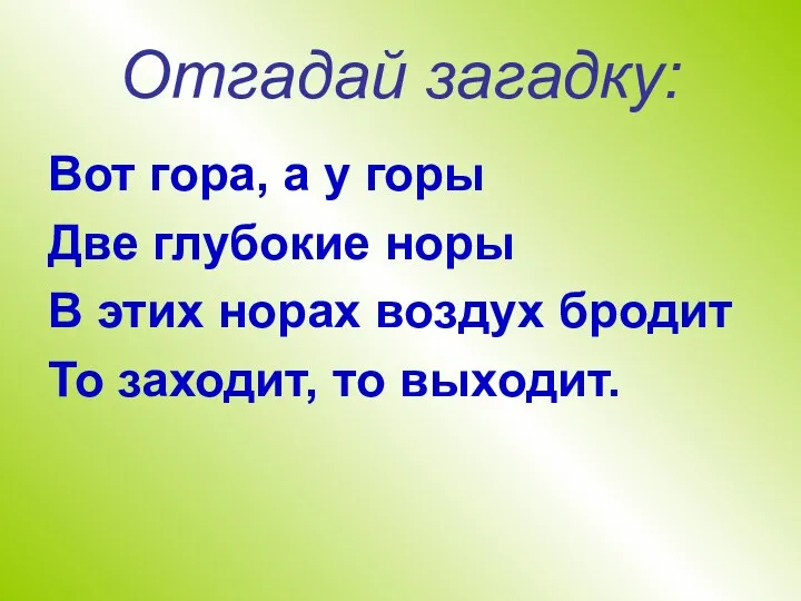 Отгадай загадку: Вот гора, а у горы Две глубокие норы