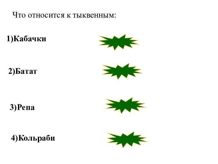 неверно неверно неверно верно 3)Репа 2)Батат 1)Кабачки 4)Кольраби Что относится к тыквенным: