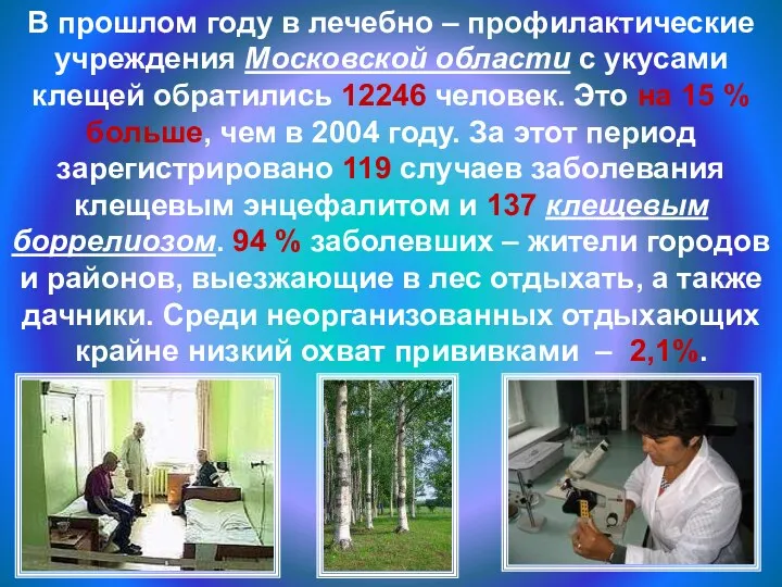 В прошлом году в лечебно – профилактические учреждения Московской области с укусами клещей