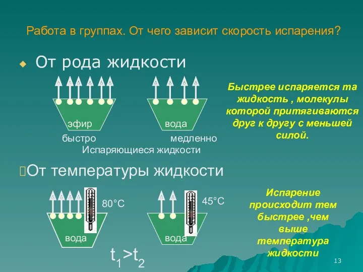 Работа в группах. От чего зависит скорость испарения? От рода