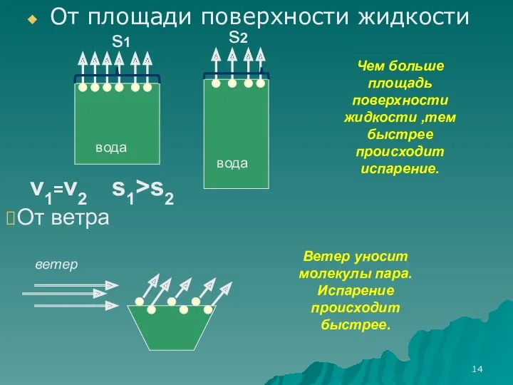 От площади поверхности жидкости вода вода v1=v2 Чем больше площадь