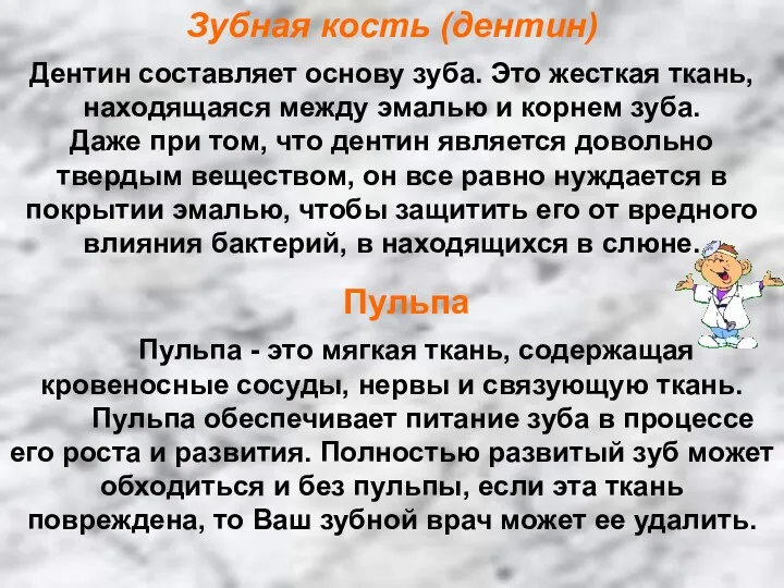 Зубная кость (дентин) Дентин составляет основу зуба. Это жесткая ткань,