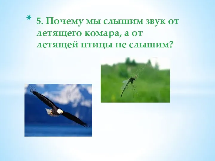 5. Почему мы слышим звук от летящего комара, а от летящей птицы не слышим?