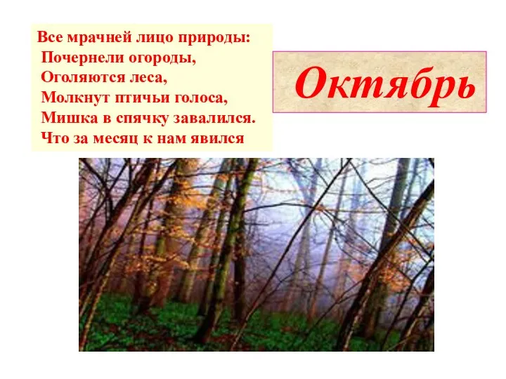 Все мрачней лицо природы: Почернели огороды, Оголяются леса, Молкнут птичьи