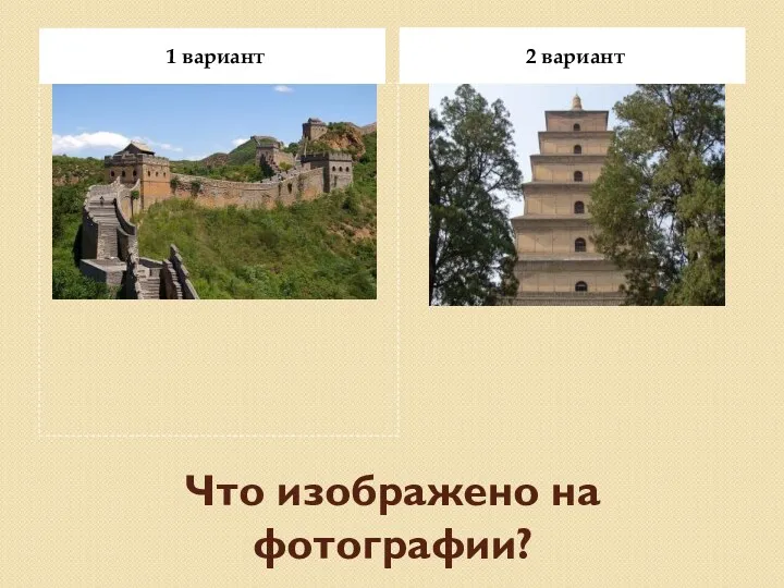 Что изображено на фотографии? 1 вариант 2 вариант