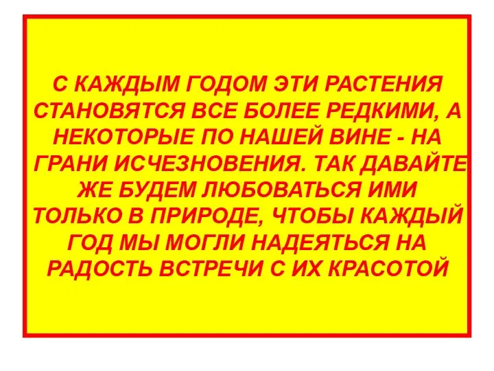 С КАЖДЫМ ГОДОМ ЭТИ РАСТЕНИЯ СТАНОВЯТСЯ ВСЕ БОЛЕЕ РЕДКИМИ, А