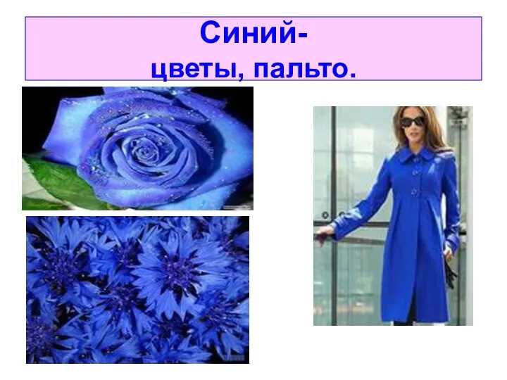 Синий- цветы, пальто.