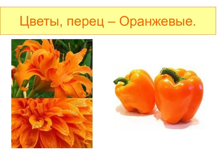 Цветы, перец – Оранжевые.