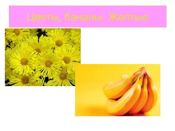 Цветы, бананы- Желтые