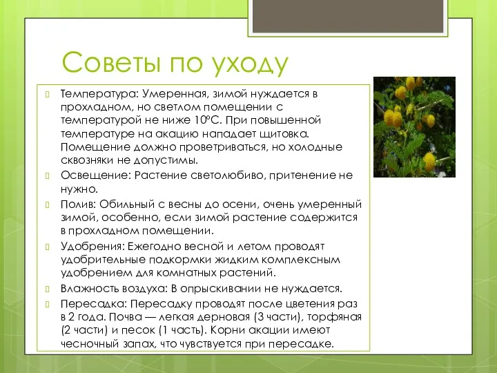 Советы по уходу Температура: Умеренная, зимой нуждается в прохладном, но светлом помещении с