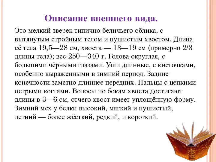 Описание внешнего вида. Это мелкий зверек типично беличьего облика, с вытянутым стройным телом