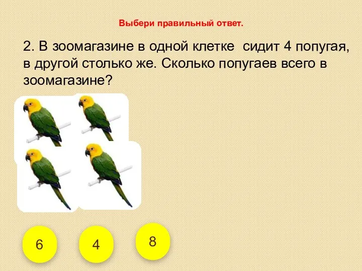 8 4 6 2. В зоомагазине в одной клетке сидит 4 попугая, в