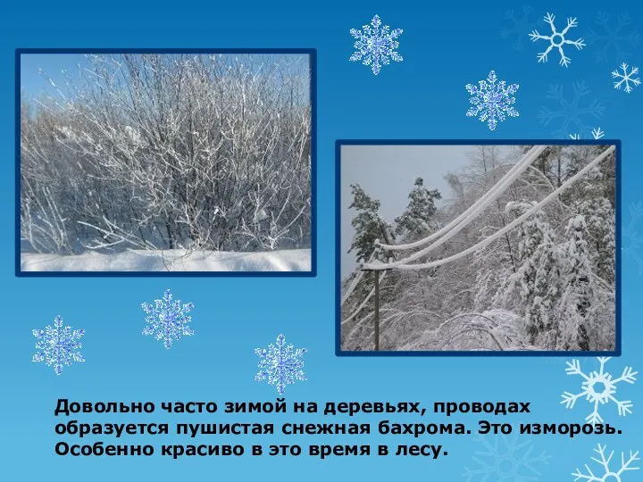 Довольно часто зимой на деревьях, проводах образуется пушистая снежная бахрома.