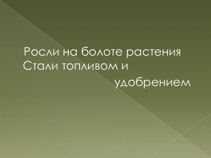 Росли на болоте растения Стали топливом и удобрением