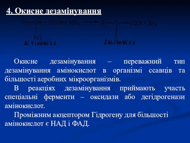 4. Окисне дезамінування Окисне дезамінування – переважний тип дезамінування амінокислот