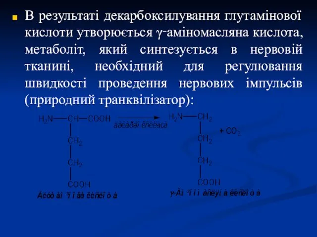 В результаті декарбоксилування глутамінової кислоти утворюється γ‑аміномасляна кислота, метаболіт, який